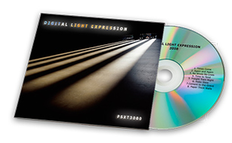 lomme fodbold Inhibere CD Duplication and DVD Duplication in Custom Cardboard Sleeve - CD LAB